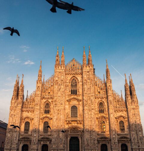 Innovazione Digitale: L'Importanza dello Sviluppo di Siti WordPress a Milano